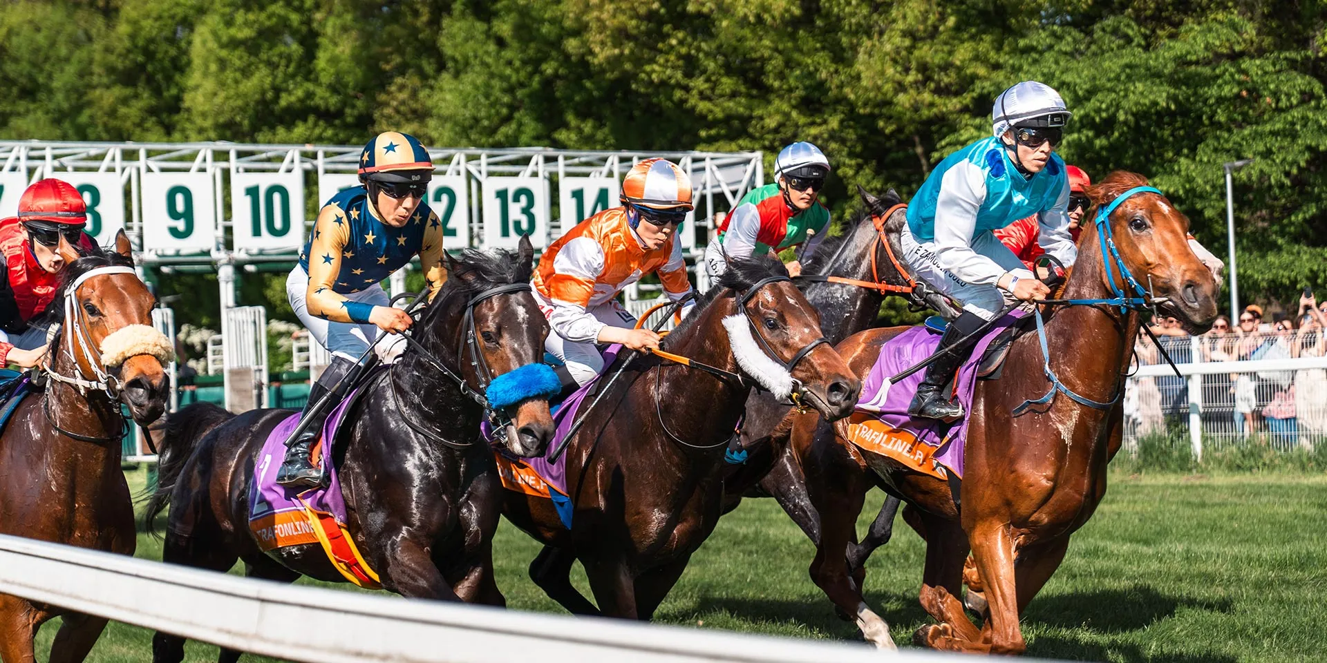 sesje foto sport - zdjęcia sportowe