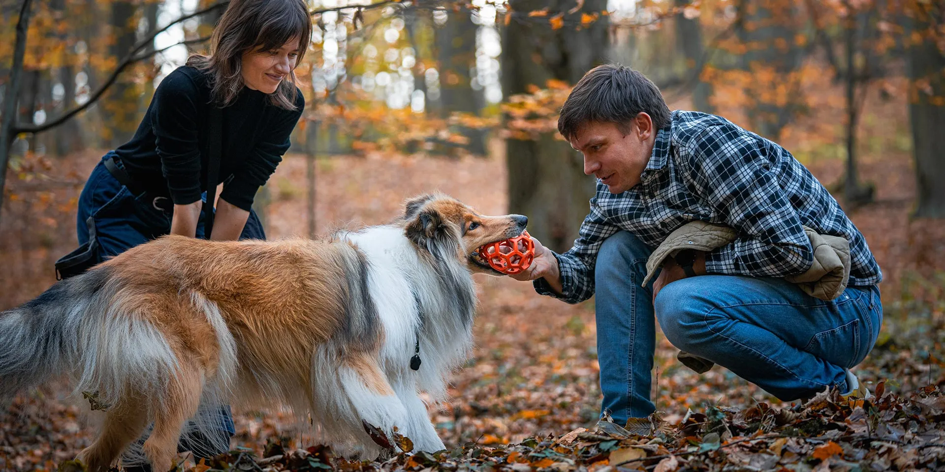 foto sesje rodzinne - sesja plenerowa